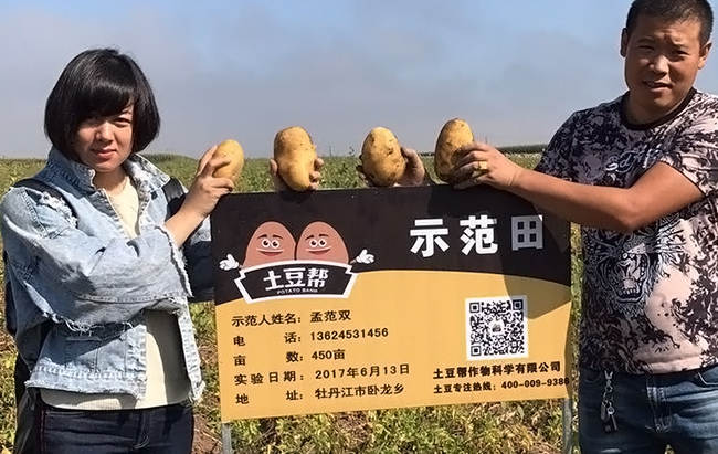 土豆帮告诉您春土豆种植的五个高产秘诀